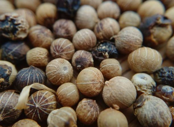 تصویر 4 از خرید و قیمت تخم گشنیز ترد + فروش عمده